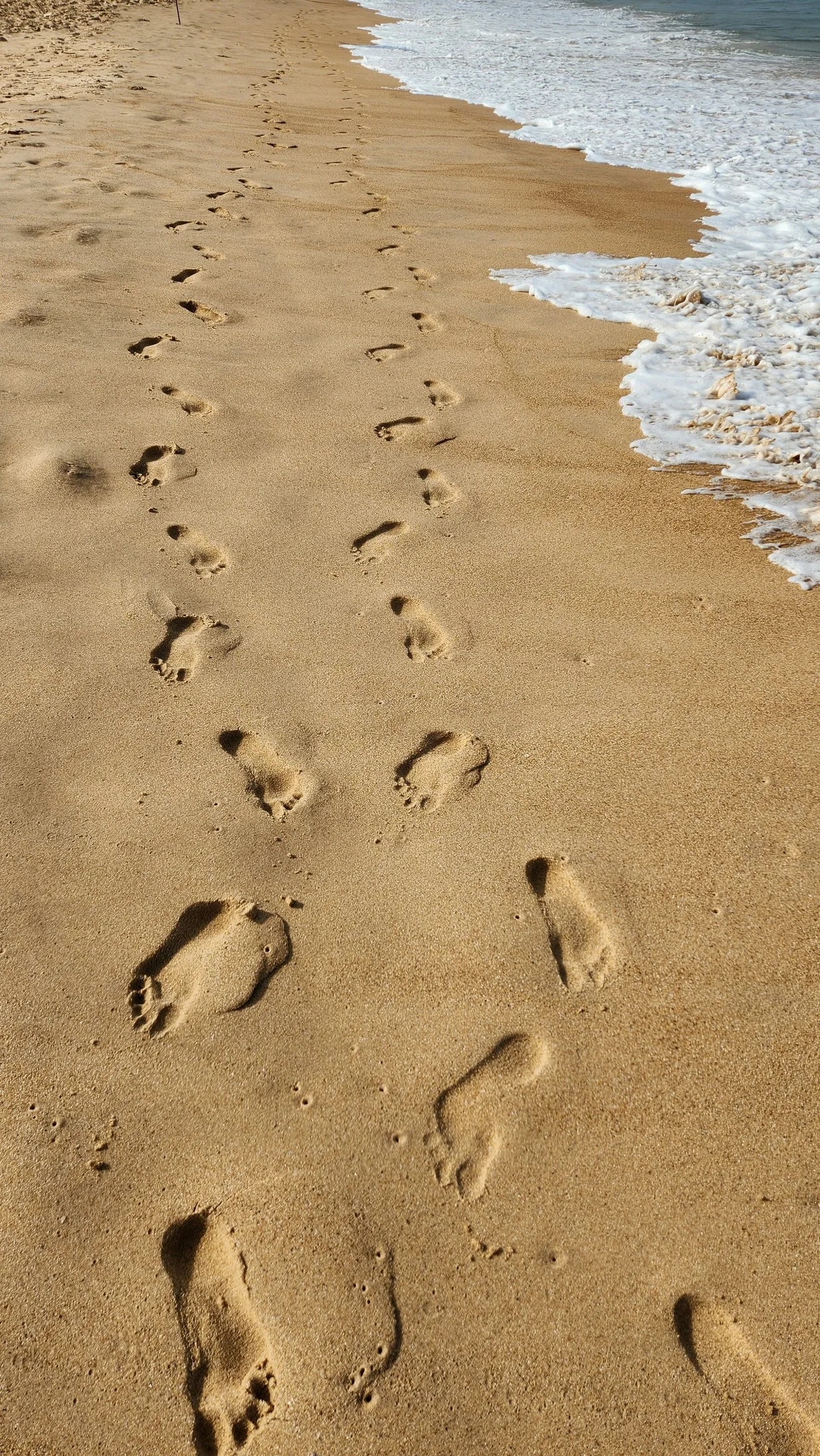 Footprints in the sand beside the sea
